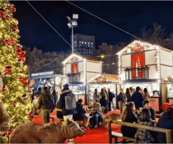 IMG_20251207_204722_005-compressed